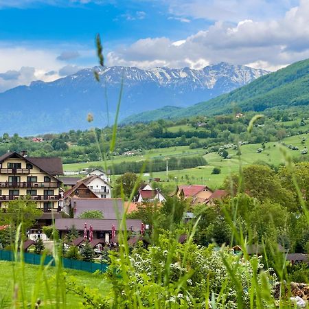 Pensiunea Hora cu Brazi Zărneşti Exterior foto