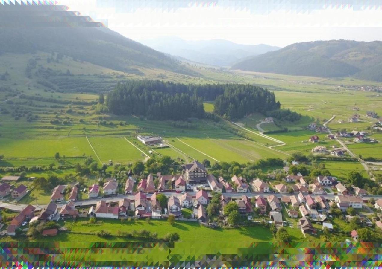 Pensiunea Hora cu Brazi Zărneşti Exterior foto