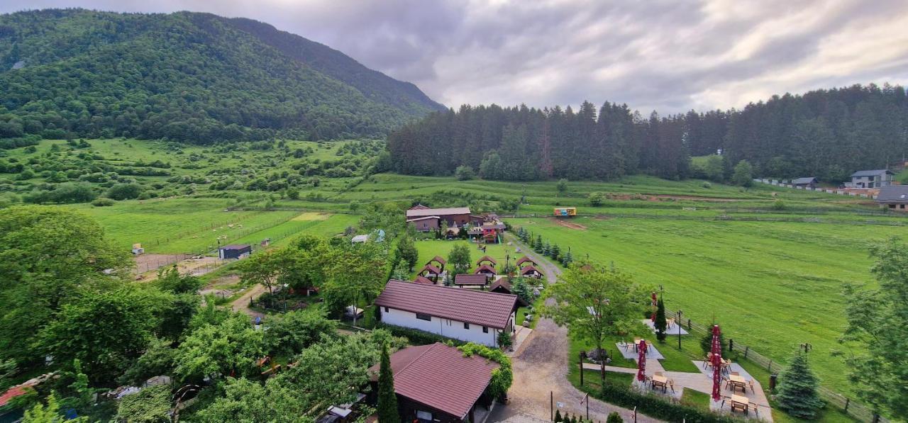 Pensiunea Hora cu Brazi Zărneşti Exterior foto