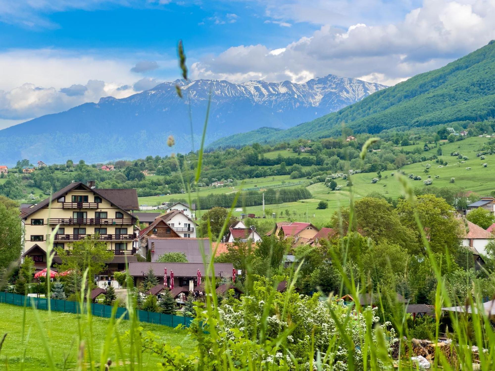 Pensiunea Hora cu Brazi Zărneşti Exterior foto