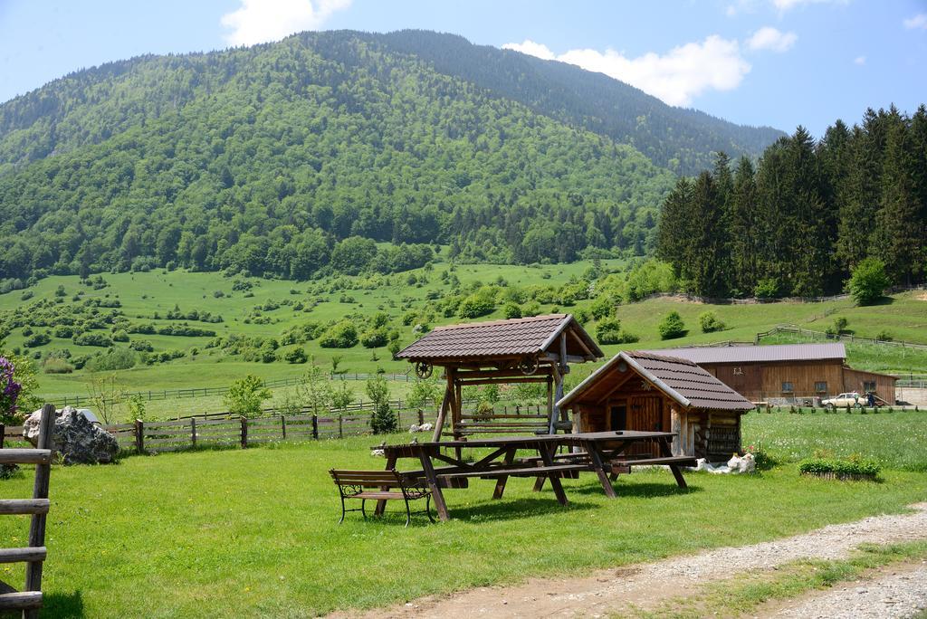 Pensiunea Hora cu Brazi Zărneşti Exterior foto