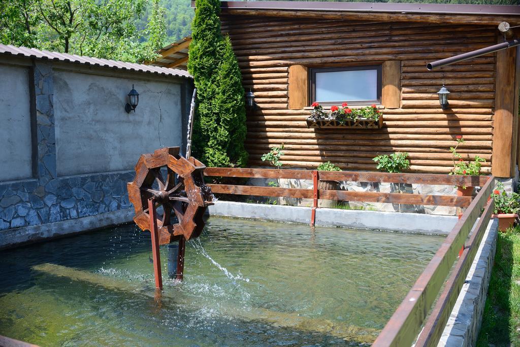 Pensiunea Hora cu Brazi Zărneşti Exterior foto
