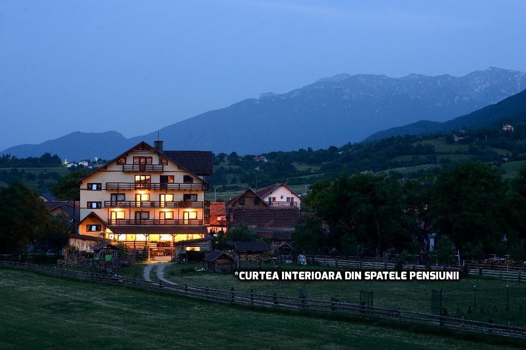 Pensiunea Hora cu Brazi Zărneşti Exterior foto